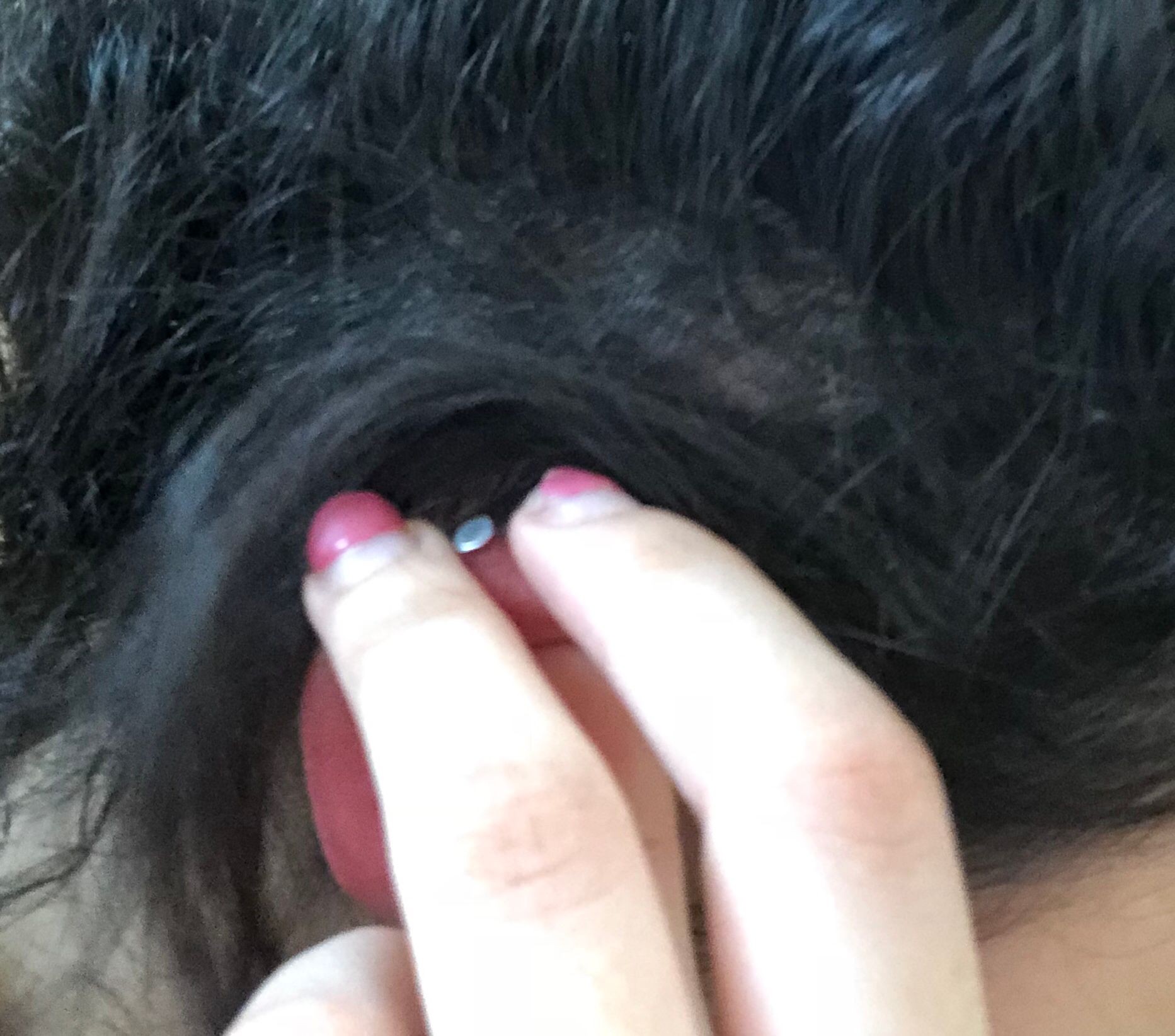 Ab Wann Darf Man Sich Ein Helix Stechen