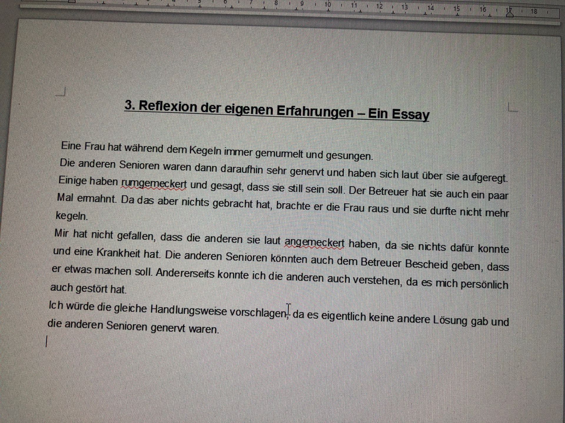 Essay beispiel picture
