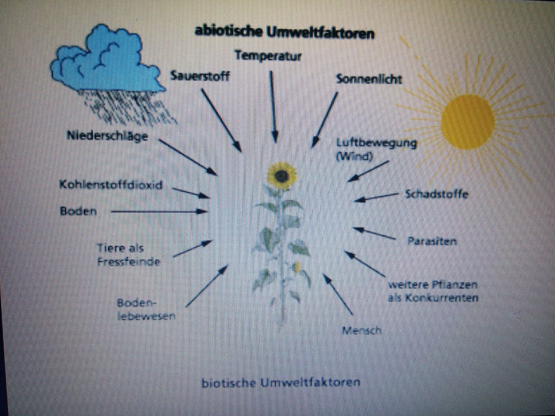 Абиотические факторы паразитизм строительство плотины