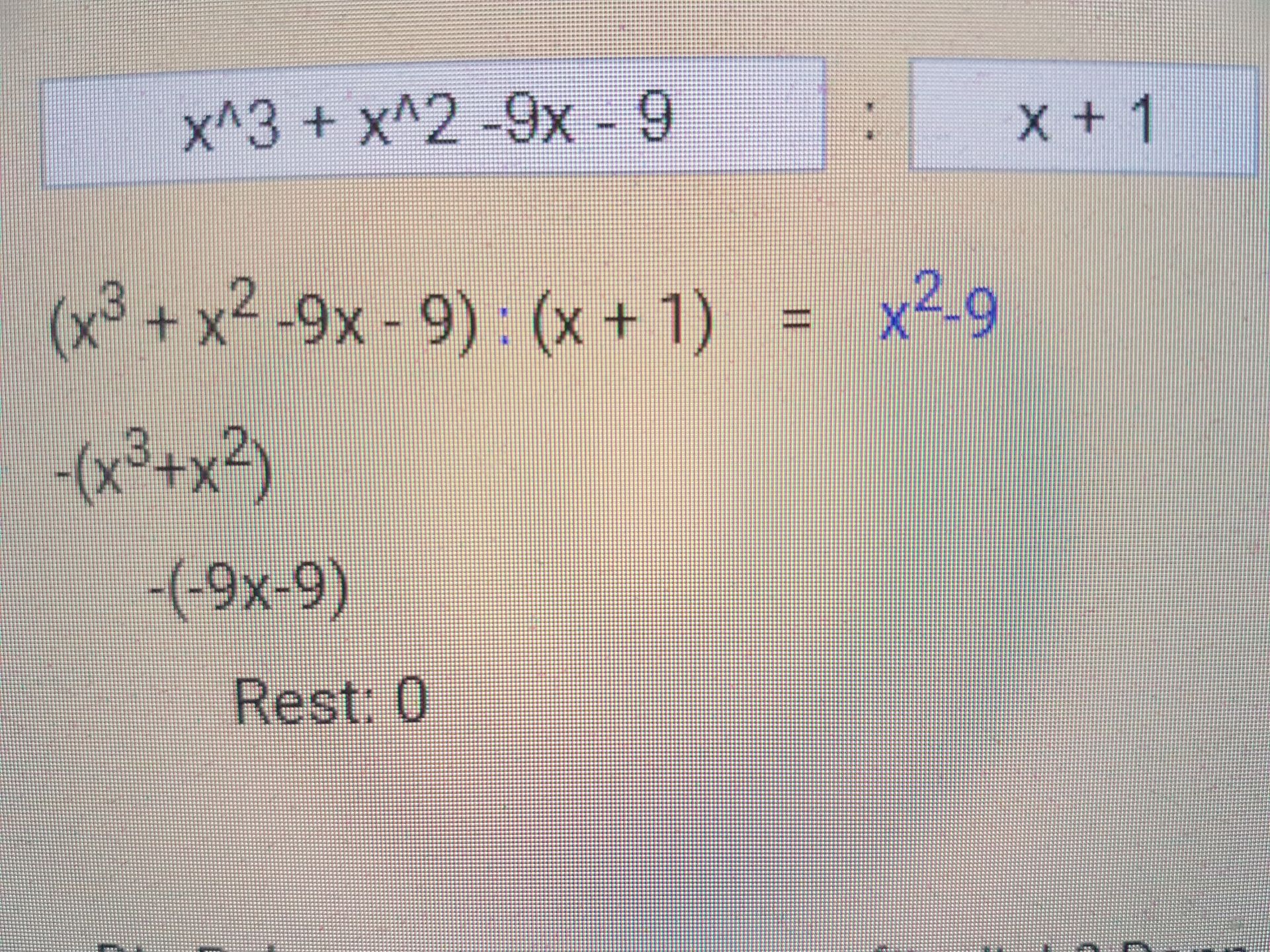 Arndt Bruenner De Mathe Scripts Polynomdivision Htm
